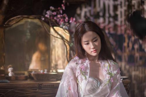 工作证模板/图片